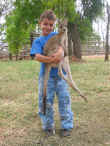 232 - Le petit fils des fermiers avec un kangourou - Myella Farm_2_2.JPG (618405 bytes)